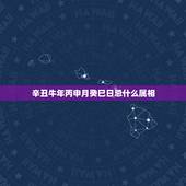 辛丑牛年丙申月癸巳日忌什么属相，历年十二生肖五行表