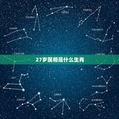 27岁属相是什么生肖，男27岁更佳婚配