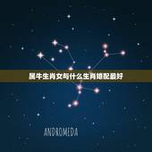 属牛生肖女与什么生肖婚配最好，属牛生肖配偶与谁最合适
