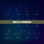 属蛇2021招财微信名，属蛇人的吉祥物是什么