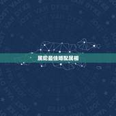 属蛇最佳婚配属相，属蛇的属相婚配表是怎样的？
