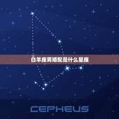 白羊座男婚配是什么星座，射手座与白羊座最配对吗？