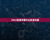 2022生肖牛取什么乳名元宝，2022年什么年生肖