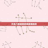 天龙八部峨眉武魂属相选择，天龙八部 峨眉最好戴什么属性的 武魂