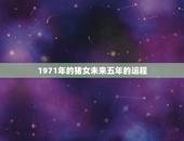 1971年的猪女未来五年的运程 属猪人的晚年命运