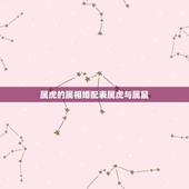 属虎的属相婚配表属虎与属鼠，属虎的和属鼠的属相合不合
