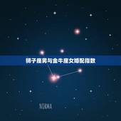 狮子座男与金牛座女婚配指数，狮子男和金牛女配对指数？