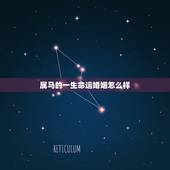 属马的一生命运婚姻怎么样，属马的人一生运程