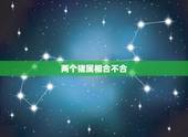 两个猪属相合不合，天珠佩戴禁忌与属相
