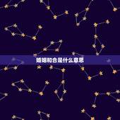 婚姻和合是什么意思，婚姻再合是什么意思