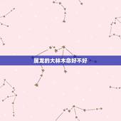 属龙的大林木命好不好，88年属龙一生三劫