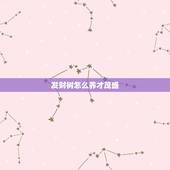 发财树怎么养才茂盛，发财树怎么养才能枝繁叶茂而且有朝气？