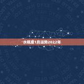 水瓶座1月运势2022年，2021年水瓶座全年运势