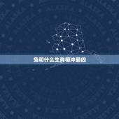 兔和什么生肖相冲最凶，兔和鼠生肖相克吗？