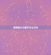 领导养小三属于什么行为，男人养小三是犯法吗