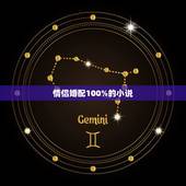 情侣婚配100%的小说，适合情侣恋爱时看的小说