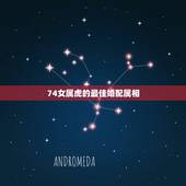 74女属虎的最佳婚配属相，1974年2月的虎和什么属相婚配合适