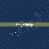 今年23岁属相婚配，23岁属牛女婚姻