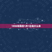 1990年阳历1月1日是什么命，我1990年1月1号，十二点左右出生，