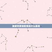 属猪的更佳配偶是什么属相，属猪生肖配偶属相