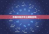石榴木和沙中土婚配好吗，石榴木命和沙中土命和什么相合