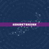 巡回检察组下属相互推脱，网友评价终于看懂《巡回检察组》，最新剧情揭开了
