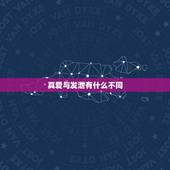 真爱与发泄有什么不同，“真爱”与“性吸引”有什么区别？如何判断？