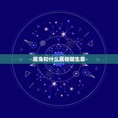 属兔和什么属相做生意，属兔的和什么生肖做生意合财