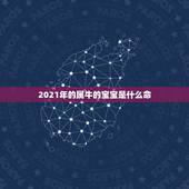 2021年的属牛的宝宝是什么命，2021年牛年是什么命