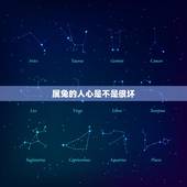 属兔的人心是不是很坏，属兔的女人阴险