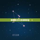 属猴男2022年结婚吉日，男属猴女属鸡2022 年结婚吉日