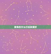 属兔在什么行业发展好，属兔人最适宜在哪个行业发展
