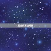 属虎的更佳婚配，属虎的婚配属相更好