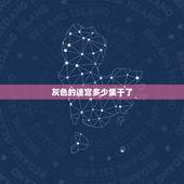 灰色的迷宫多少集干了，灰色的迷宫只有一集吗？为什么爱奇艺说是一集全。