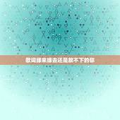 歌词缘来缘去还是放不下的你，歌词中有怨来怨去都是放不下的你是什么歌