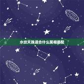 水纹天珠适合什么属相最配，十二生肖佩戴几眼天珠