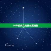74年的虎女和什么属相配，68年属猴后半生婚姻