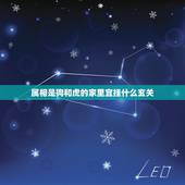 属相是狗和虎的家里宜挂什么玄关，属狗和虎的房间入户墙上能挂吉祥鹿吗？