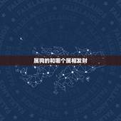 属狗的和哪个属相发财，周易属狗的和什么属相做生意会很顺