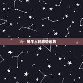 属牛人的感情运势，属牛女的感情运势