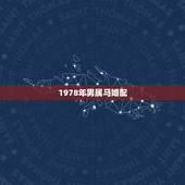1978年男属马婚配，男78年属马和女87年属兔的婚配怎么样