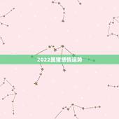 2022属猪感情运势，2021年属猪的运势和财运