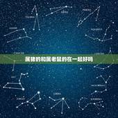 属猪的和属老鼠的在一起好吗，属猪的和属鼠的在一起合适吗？