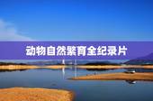 动物自然繁育全纪录片，动物的自然繁殖篇全部