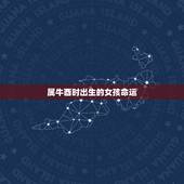 属牛酉时出生的女孩命运，酉时生的人婚姻不好