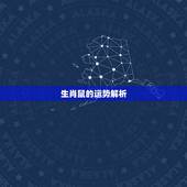 生肖鼠的运势解析，生肖鼠运势分析