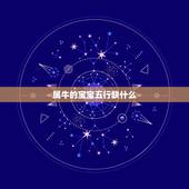 属牛的宝宝五行缺什么，属牛五行属什么
