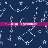 2022年一月的虎宝宝好不好，2022年虎宝宝起名