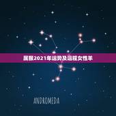属猴2021年运势及运程女性羊，80年属猴的是什么命2021年的运势