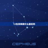 12生肖佩戴什么最旺财，12生肖戴什么最招财